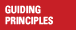 Guiding Principles