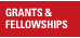 Grants & Fellowships